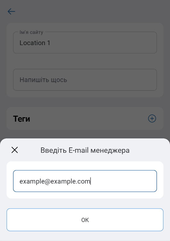 AddingManagerInTheApp_04_EnteringEmail.png